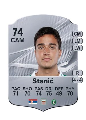 Stanić 74 CAM