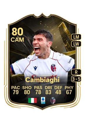 Cambiaghi 80 CAM