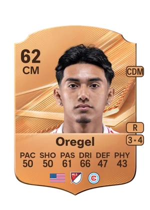 Oregel 62 CM