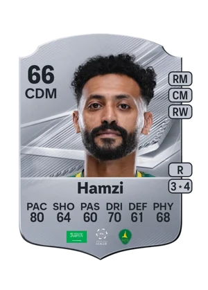 Hamzi 66 CDM