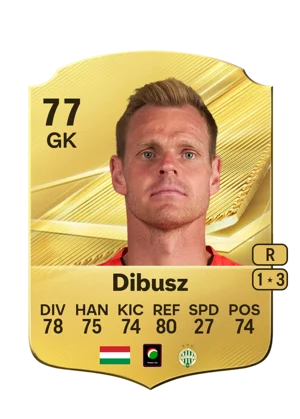 Dibusz 77 GK