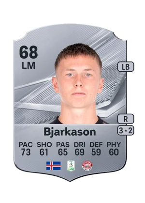 Bjarkason 68 LM