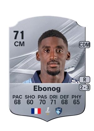 Ebonog 71 CM
