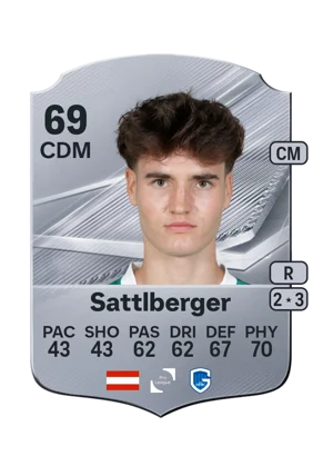Sattlberger 69 CDM