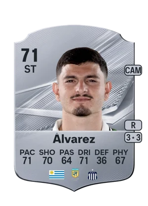 Álvarez 71 ST