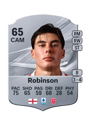 Robinson 65 CAM