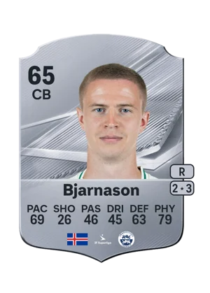 Bjarnason 65 CB