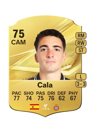 Cala 75 CAM