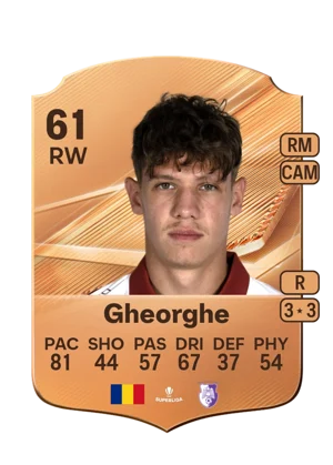 Gheorghe 61 RW