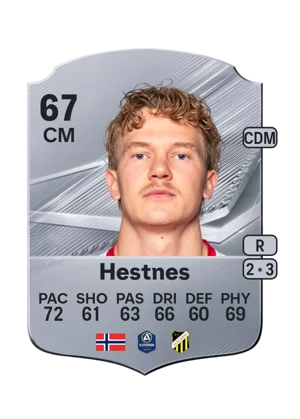 Hestnes 67 CM