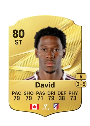 David 80 ST