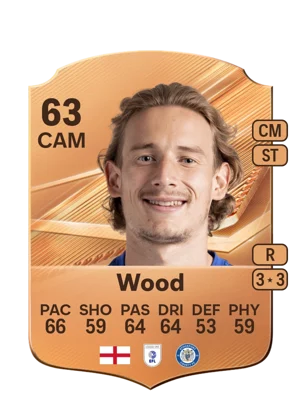 Wood 63 CAM