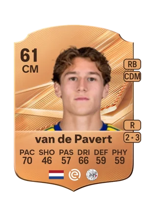 van de Pavert 61 CM