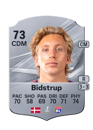 Bidstrup 73 CDM