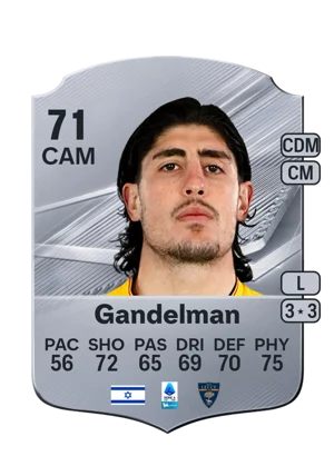 Gandelman 71 CAM