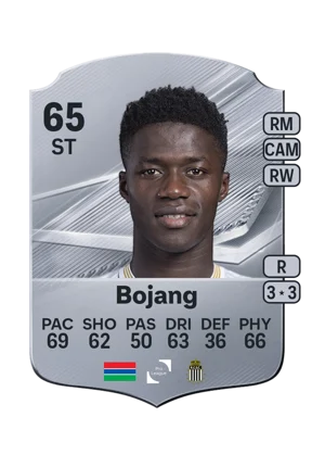 Bojang 65 ST