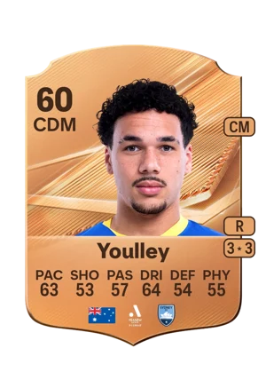 Youlley 60 CDM