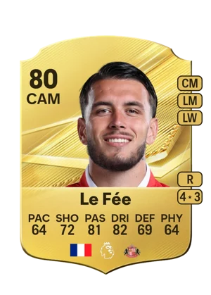 Le Fée 80 CAM