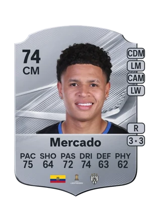 Mercado 74 CM