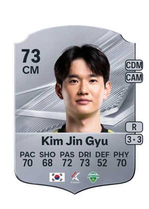 Kim Jin Gyu 73 CM
