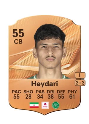 Heydari 55 CB