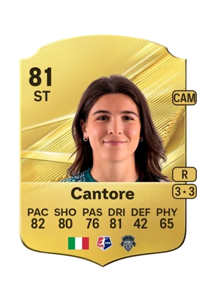 Cantore 81 ST