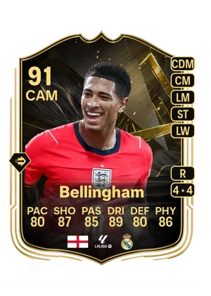 Bellingham 91 CAM