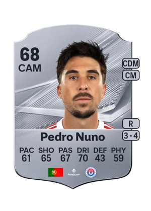 Pedro Nuno 68 CAM