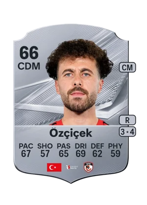 Özçiçek 66 CDM