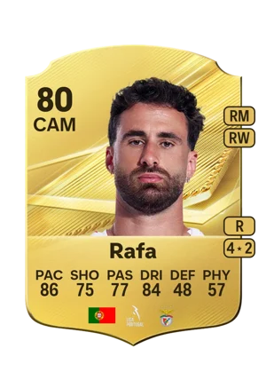 Rafa 80 CAM