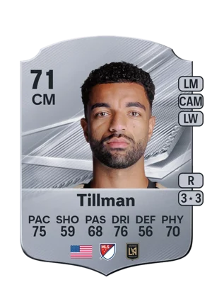 Tillman 71 CM