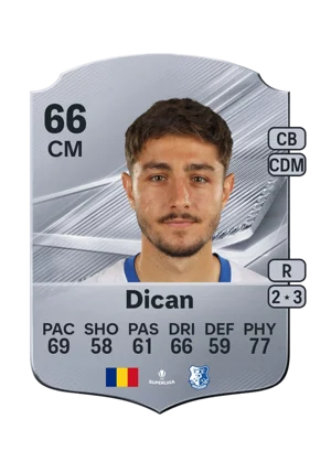 Dican 66 CM