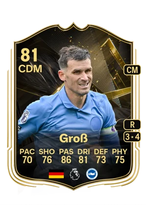 Groß 81 CDM