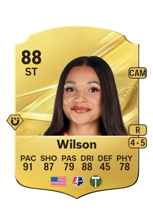 Wilson 88 ST