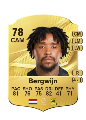 Bergwijn 78 CAM