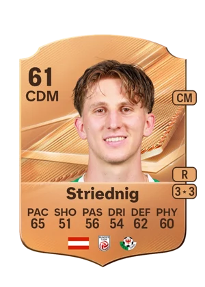 Striednig 61 CDM