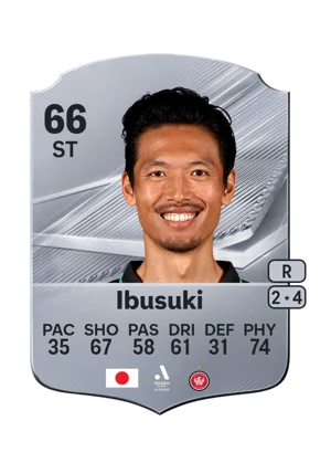 Ibusuki 66 ST