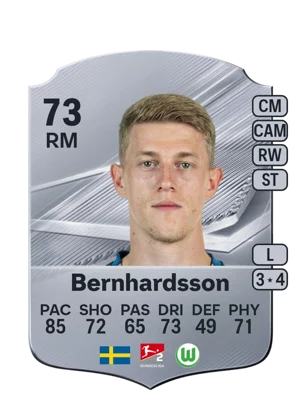 Bernhardsson 73 RM