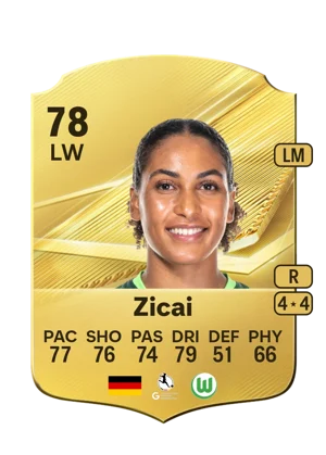 Zicai 78 LW