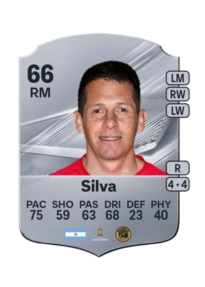 Silva 66 RM