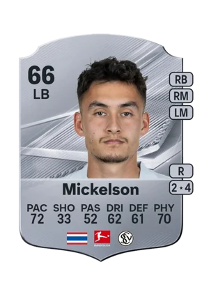 Mickelson 66 LB