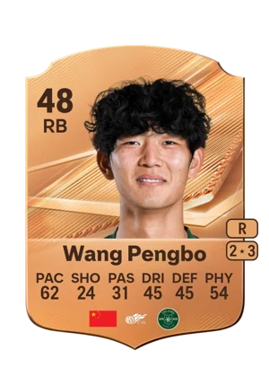 Wang Pengbo 48 RB