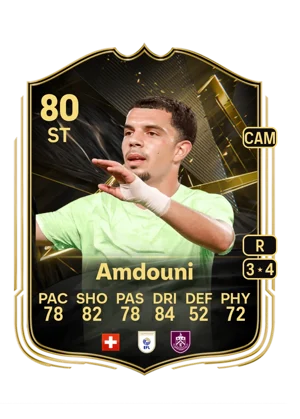 Amdouni 80 ST