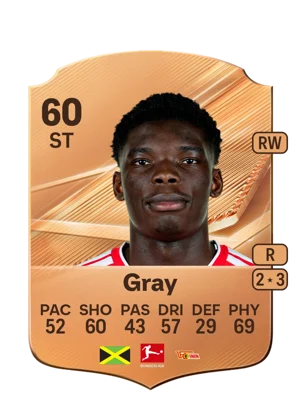 Gray 60 ST