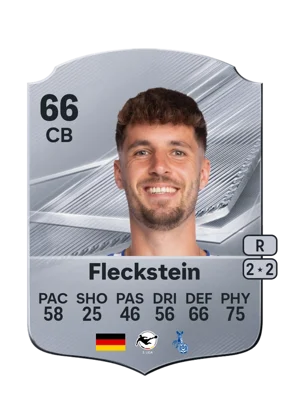 Fleckstein 66 CB