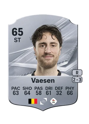 Vaesen 65 ST
