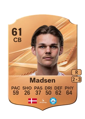 Madsen 61 CB