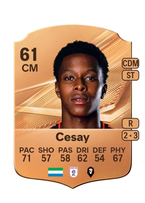 Cesay 61 CM