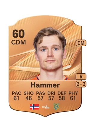 Hammer 60 CDM