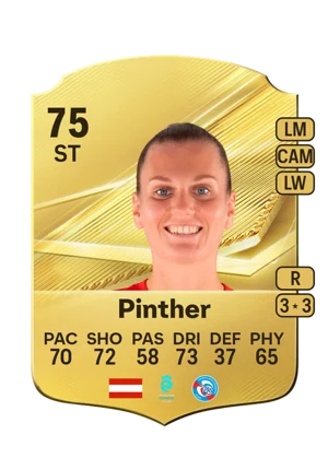 Pinther 75 ST